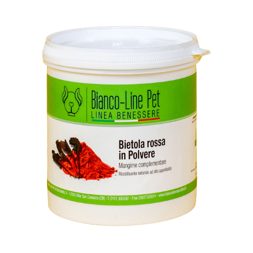 Maltipoo Guida Completa Su Alimentazione Cura E Carattere Maltipoo Guida Completa Su Alimentazione Cura E Carattere